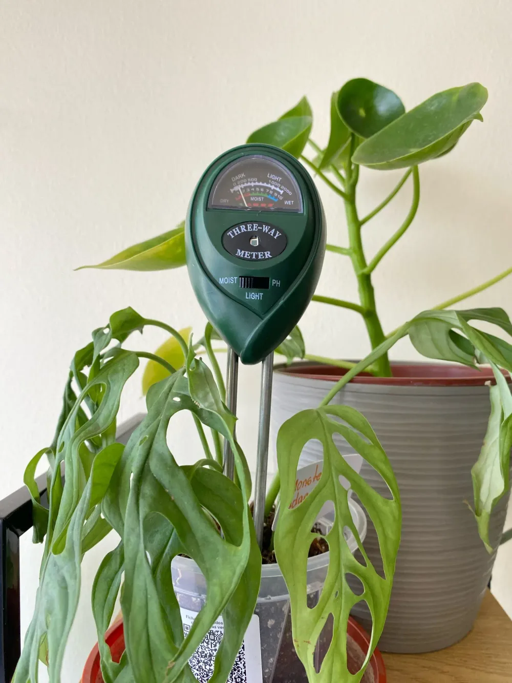 SoilSense 3-in-1 soil meter used by C***s, a verified buyer, in a real houseplant